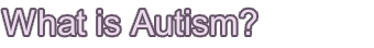 What is Autism?